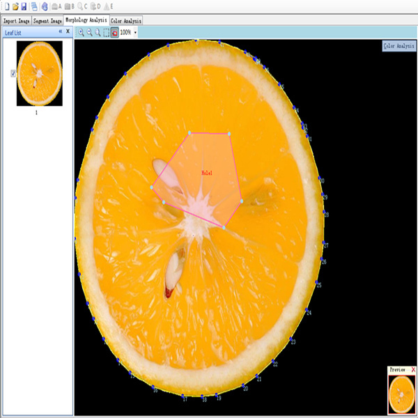 FruitAnalysis果实分析软件