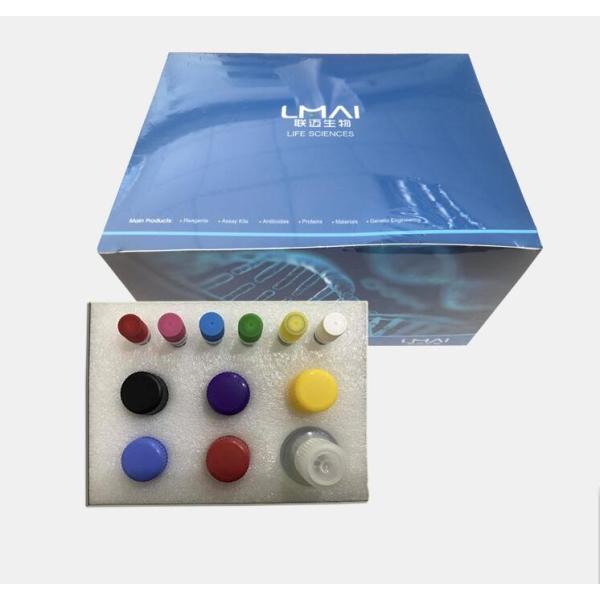脱氢抗坏血酸（DHA）含量测试盒(紫外分光光度法)