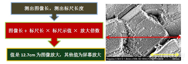 扫描电镜放大倍数和分辨率背后的陷阱——安徽大学林中清32载经验谈（2）