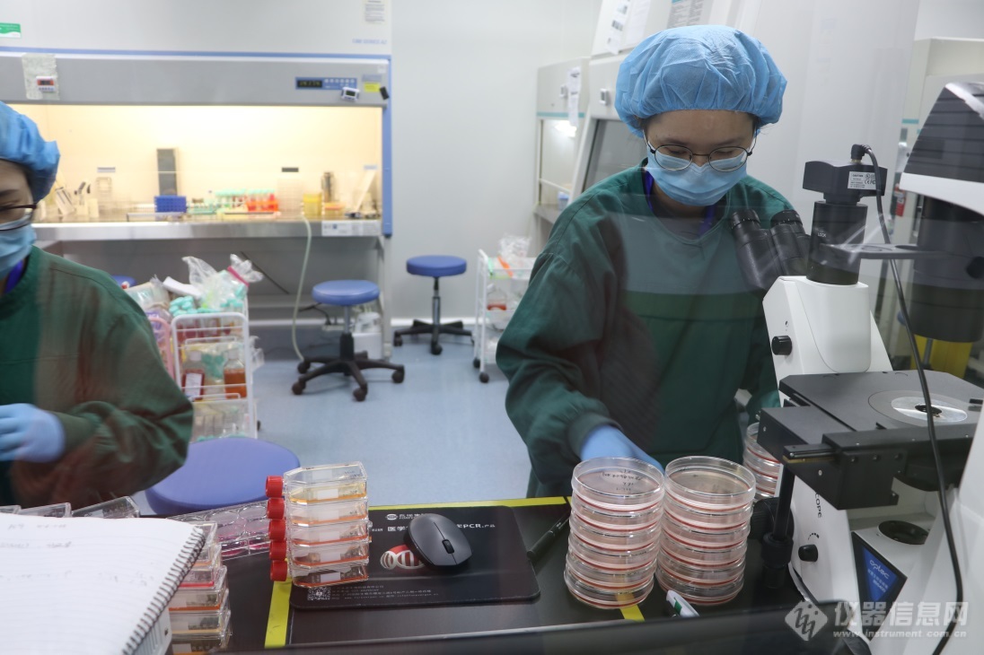 6 实验室工作人员在细胞培养室进行细胞培养.jpg