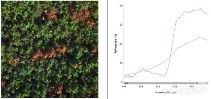 S185高光谱案例之——青岛崂山林区大面积松线虫病虫害调查