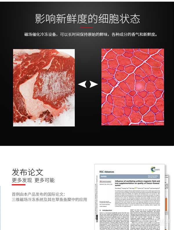 英都斯特发布磁场催化冷冻箱新品