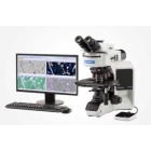 奥林巴斯 金相显微镜 正置显微镜 BX53M 