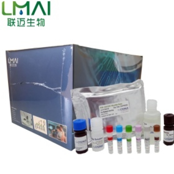 TMB底物显色试剂盒(ELISA,HRP发光)