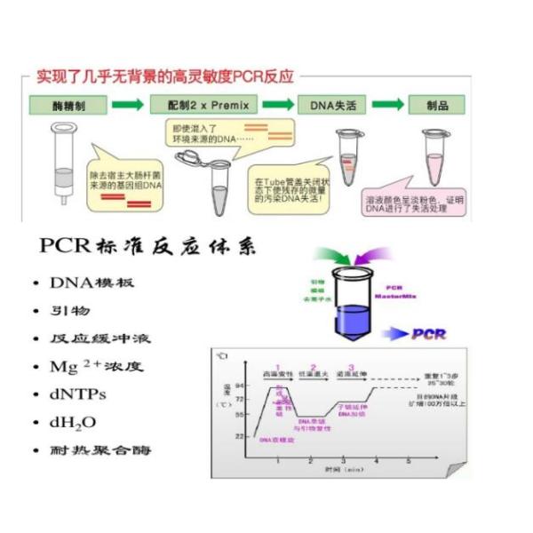 香橼探针法PCR鉴定试剂盒
