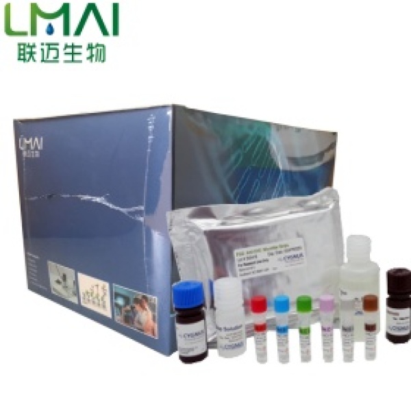 caspase-4抑制剂药物筛选试剂盒