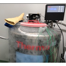 THERMO气相液氮罐CryoExtra8140（CE8140）