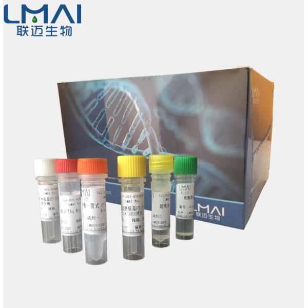 莱菔子染料法PCR鉴定试剂盒