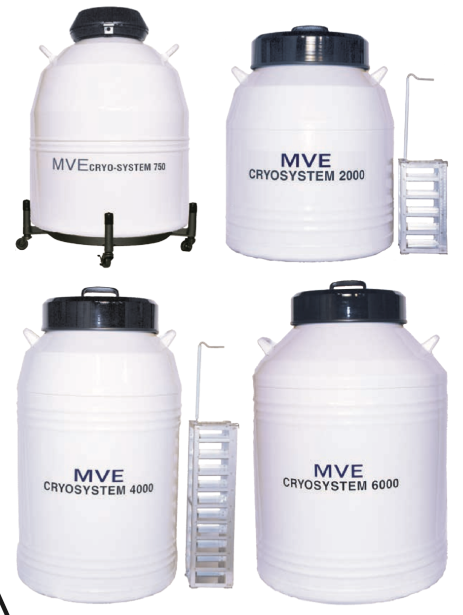 MVE液相细胞储存罐Cryosystem6000