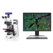 蔡司多功能正置显微镜Axioscope，蔡司智能正置显微镜Axiolab 5