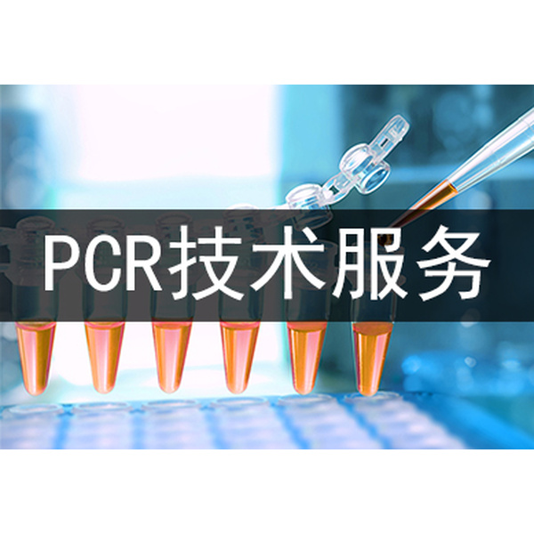 补骨脂PCR鉴定试剂盒