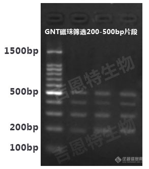 片段筛选副本.jpg