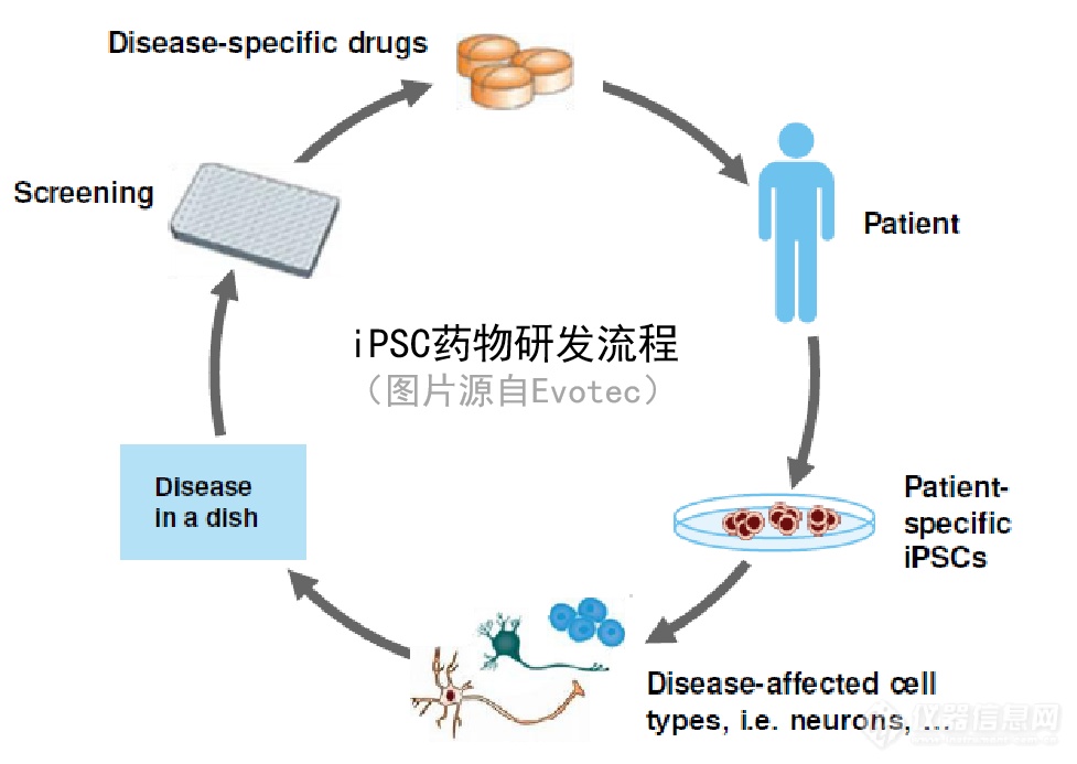 DISEASE In A DISH | 基于诱导多功能干细胞iPSC来源的药物研发