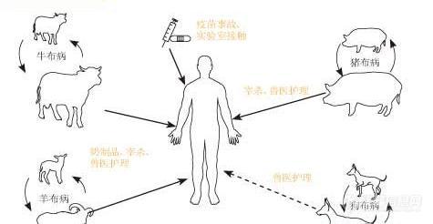 兰兽研近百名师生布病抗体呈阳性