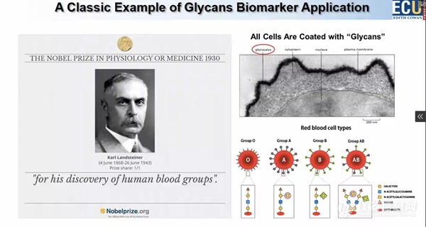 iCMS2019第十届质谱网络会议第二天 质谱新技术及药物分析应用进展精彩纷呈