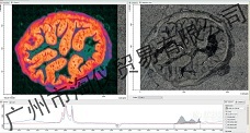 生物科学_1.jpg