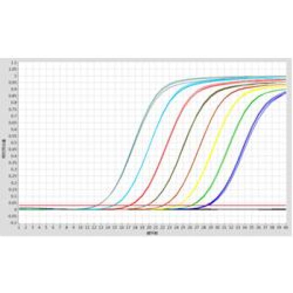 冻干Fast DNA TaqMan PCR Reagent(UNG)
