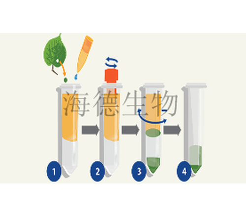  BioMasher手动匀浆器