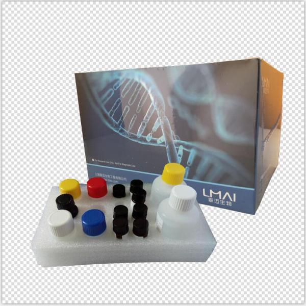 WSSV试剂盒；虾白斑病毒（WSSV）ELISA试剂盒