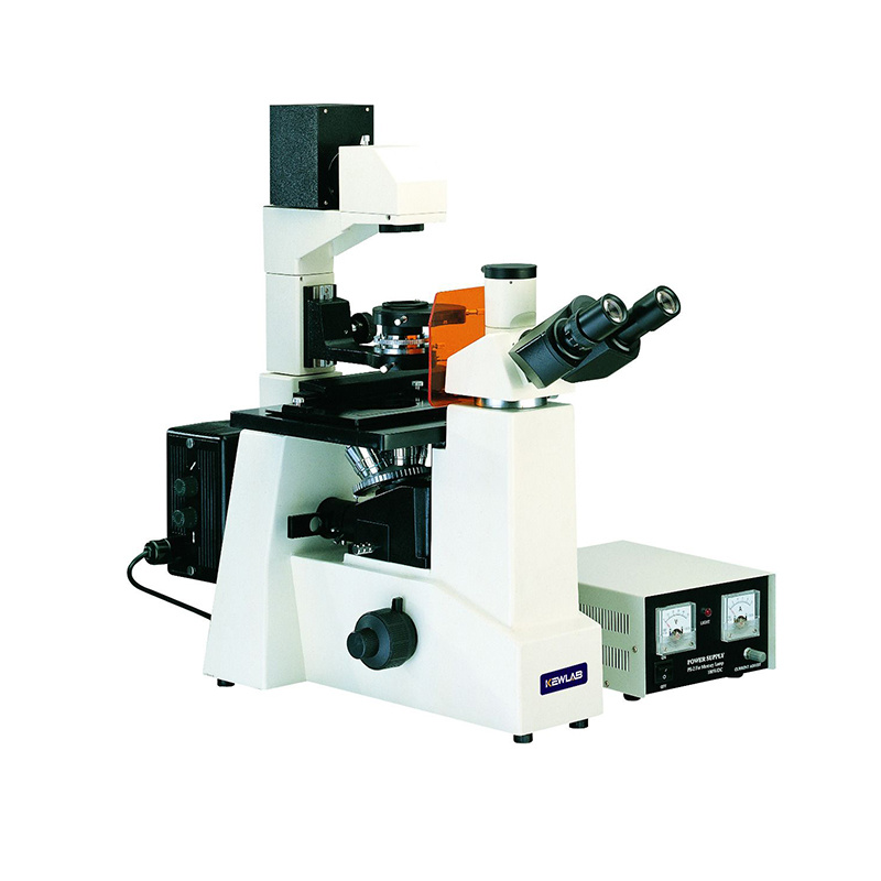 KEWLAB IFM-1 倒置荧光显微镜