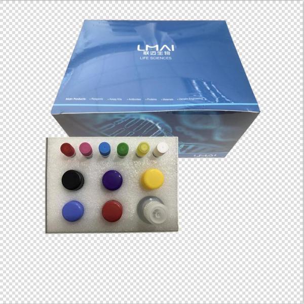 NAA试剂盒；植物萘乙酸（NAA）ELISA试剂盒