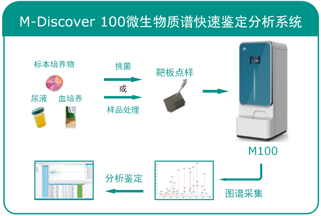 珠海美华MALDI-TOF MS质谱快速鉴定系统