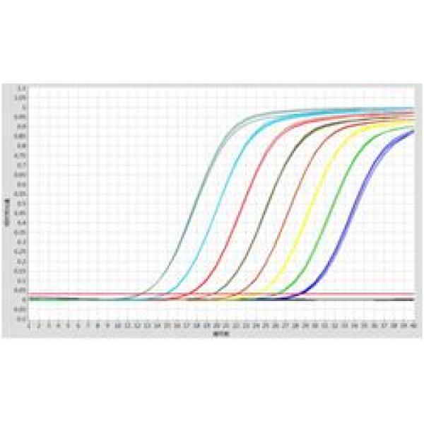 冻干Fast DNA TaqMan PCR Reagent(UNG)