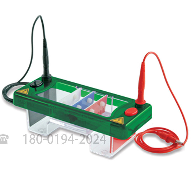 CONSORT 电泳槽Elektrophoresis Tanks