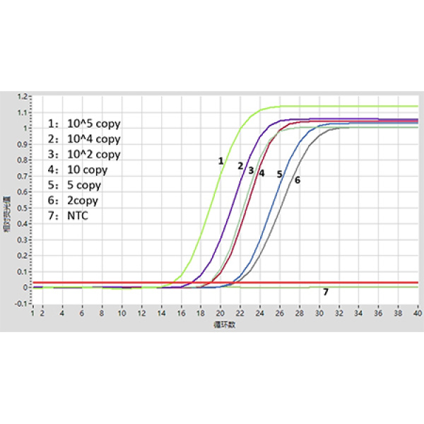 aac(6')-Ib-cr基因检测试剂盒（恒温LAMP-TaqMan荧光法）
