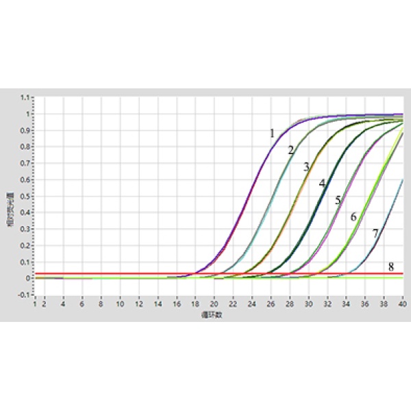  冻干Fast DNA TaqMan PCR Reagent