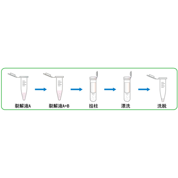 5min极速RNA提取试剂盒