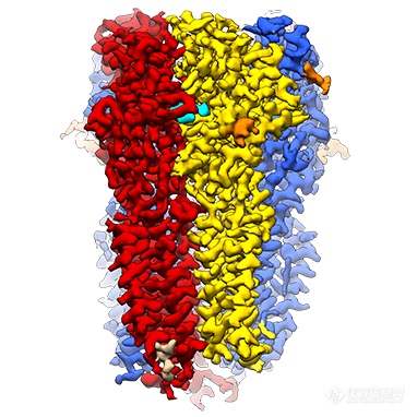 与药物Ro-15-4513结合的纳米盘中GABA受体膜蛋白的3D重建.jpg