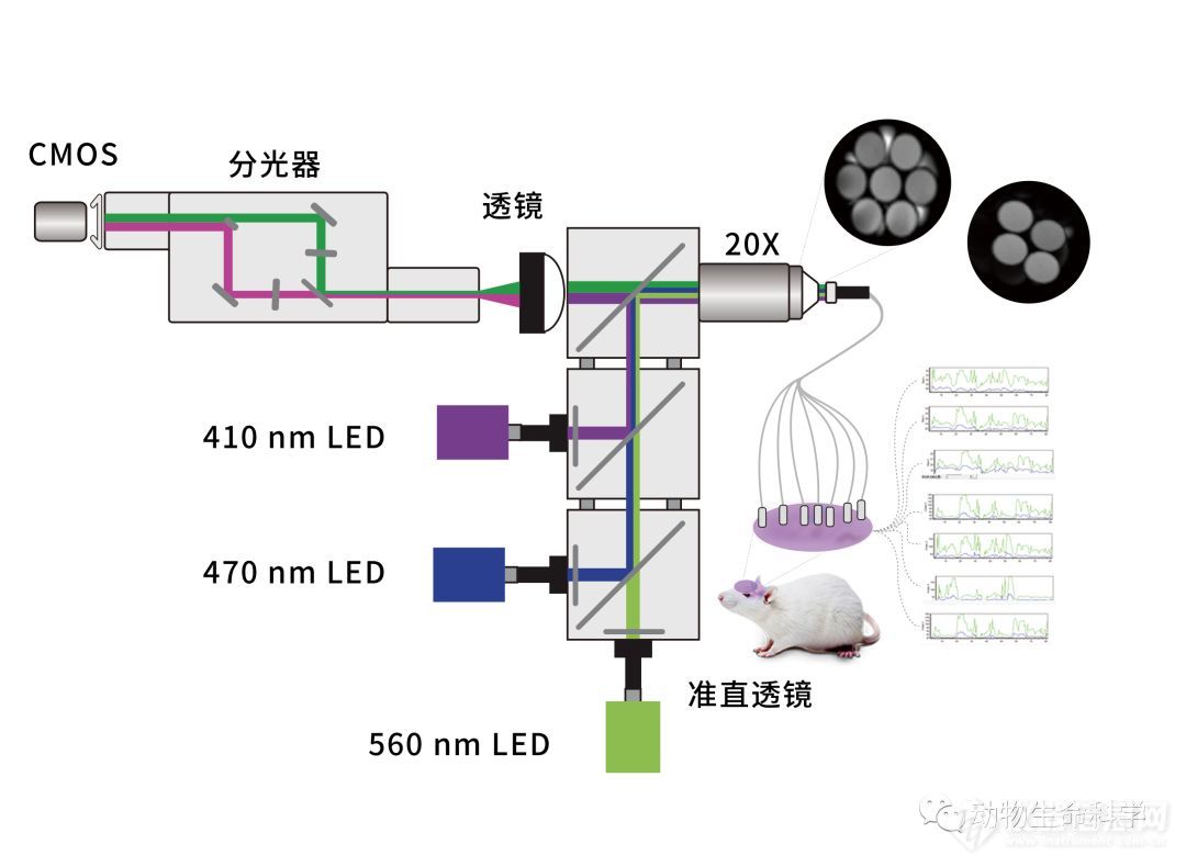 光纤记录系统2.jpg