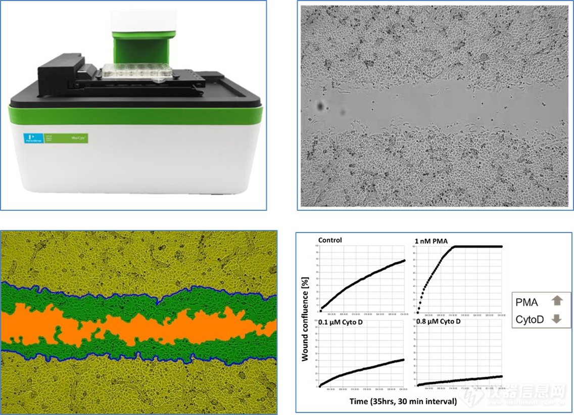 全新的MuviCyte™长时间活细胞观察系统进行细胞迁移功能检测