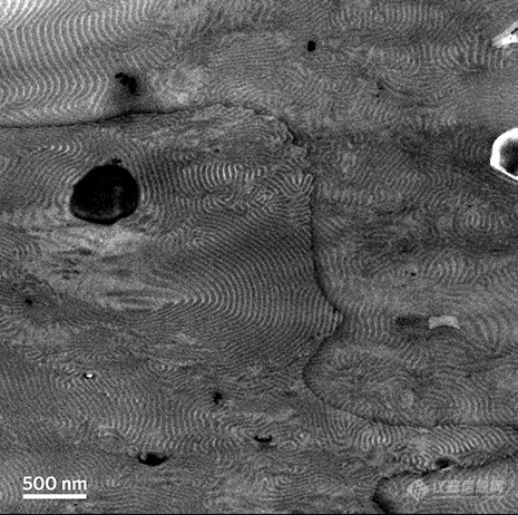 嵌段共聚物。低压TEM图像.jpg