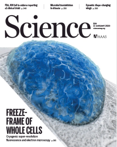 Science封面| 冷冻超分辨与FIB-SEM结合新技术：三维蛋白超微结构可视化