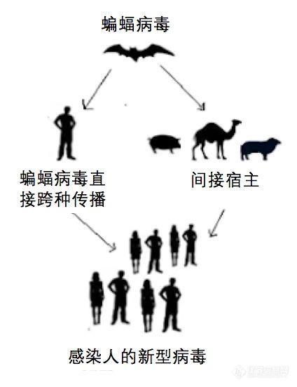 新型冠状病毒肺炎疫情发展历程及信息大全