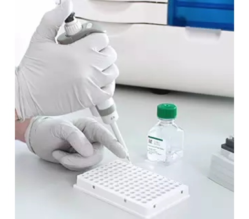 dsDNA 915 试剂盒 (35–5000 bp)，500