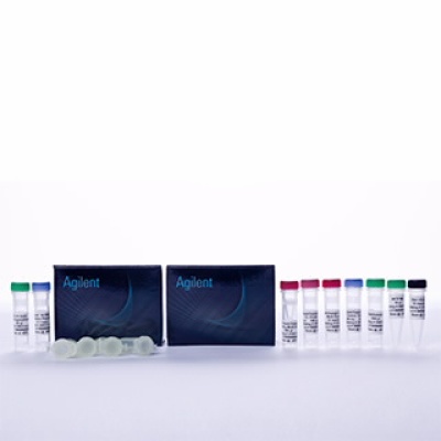 QuikChange Lightning Multi Site-Directed Mutagenesis Kits, 30 Rxn