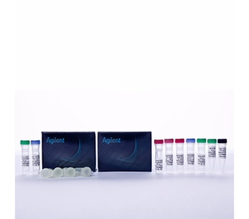 QuikChange Lightning Site-Directed Mutagenesis Kit, 30 Rxn