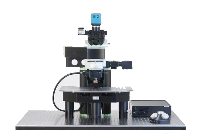 德国 LaVision BioTec双光子显微镜TriM Scope