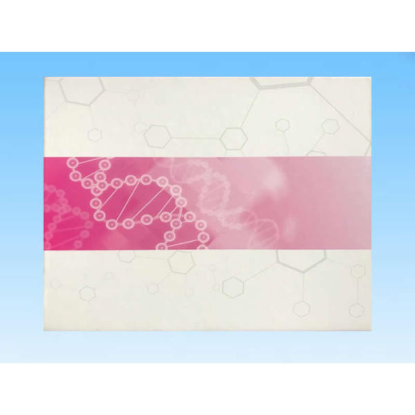 豚鼠内皮型一氧化氮合成酶ELISA检测试剂盒规格
