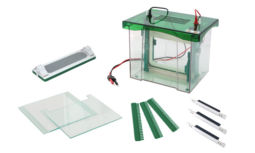 JY-CZ-BL型 双垂直电泳槽