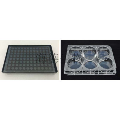 PAMCELL- 3D细胞培养板（3-dimensional cell culture plate）
