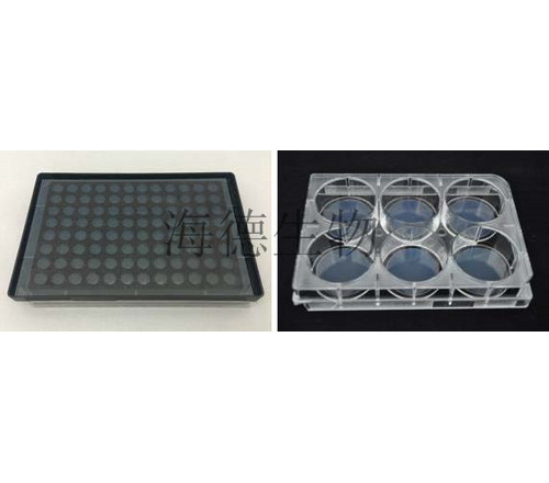 PAMCELL- 3D细胞培养板（3-dimensional cell culture plate）