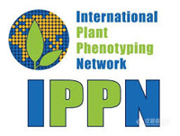 第四届国际植物和藻类表型会议邀请