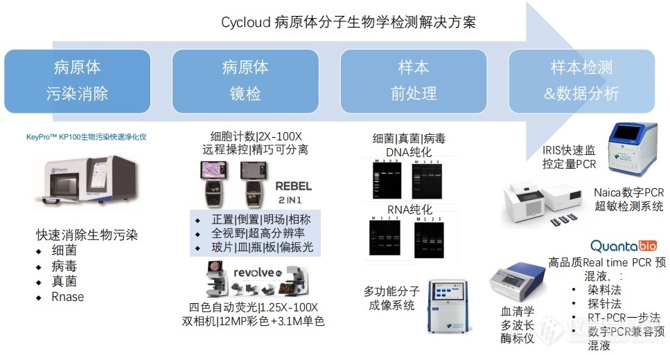 PCR检测方案.jpg