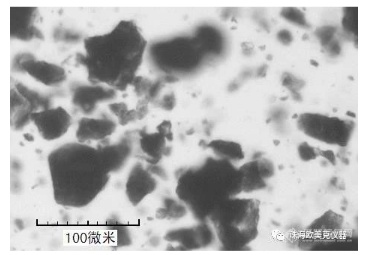 欧美克LS-909E干法激光粒度仪在粉末涂料行业的创新应用