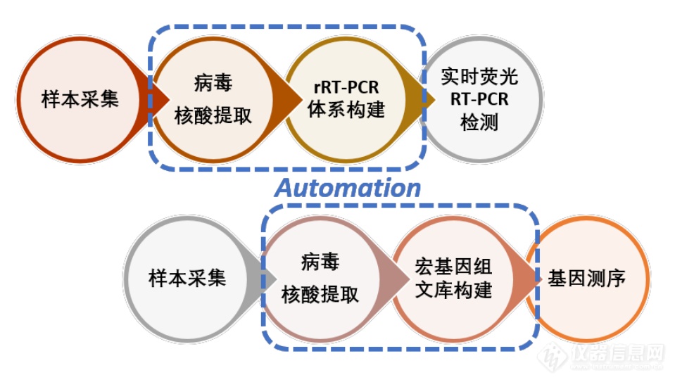 助力一线新冠检测 贝克曼库尔特制定核酸检测自动化方案