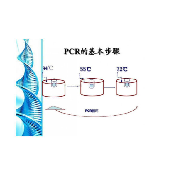 新型科研N基因核酸检测试剂盒（PCR-荧光探针法）